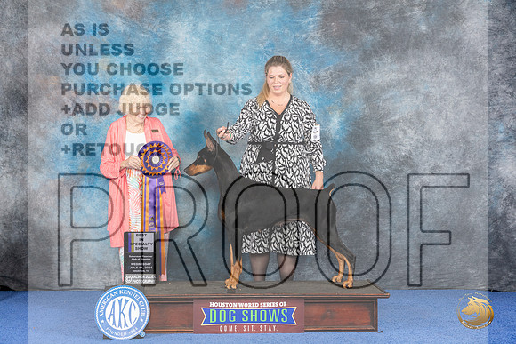 Doberman #46 WED BISS Judge Nancy Liebes__JP_7316_Houston_2024_HR3