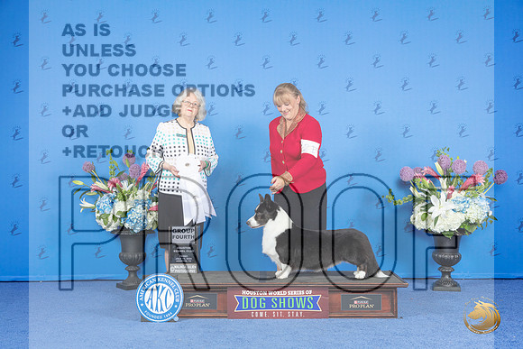 Cardigan Welsh Corgi #21 FRI G4 Judge Annella Cooper__JP_9594_Houston_2024_HR3