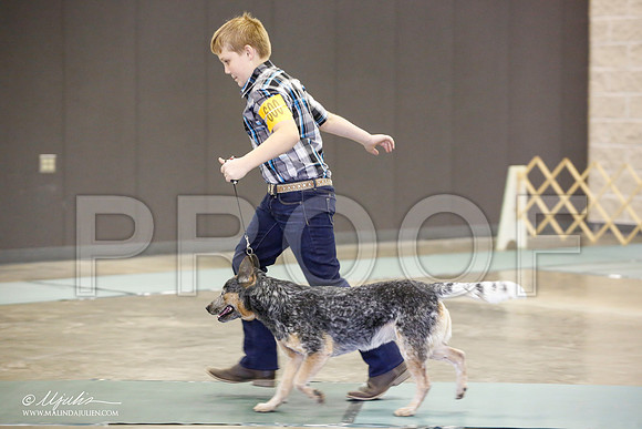 _JN_2287-BeltonJan2015-HR3