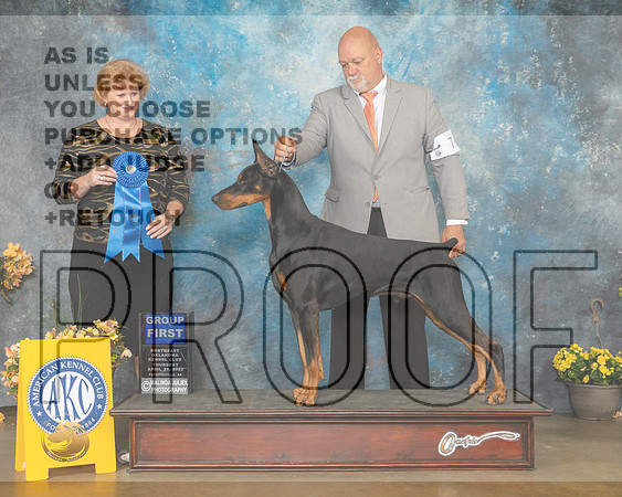 Doberman Pinsher #7 Thur G1 Judge Betty Pollock-MMJ_8885-NWARK2022-HR3