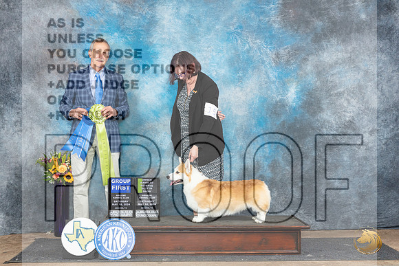Pembroke Welsh Corgi #15 Sat OHRBIS Judge Rick Gschwender__JP_0134_Abilene_2024_HR3