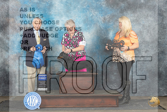 Dachshund Smooth #10 Sat G1 Judge David Bolus__JP_3661_Lubbock_2024_HR3