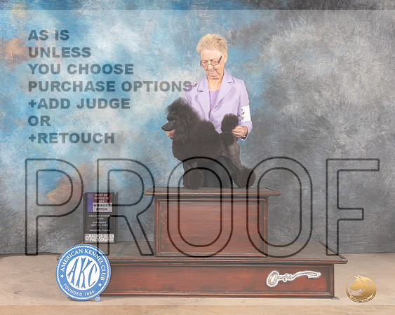 Poodle Miniature #6 Sat WDBOS Judge Gloria Kerr-MMJ_3714-Abilene2022-HR3