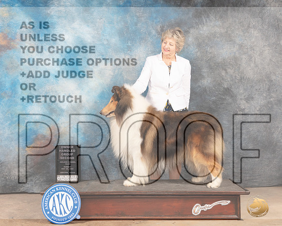 Collie Rough #7 Sun OHG2 Judge Pat Trotter-MMJ_5107-Abilene2022-HR3