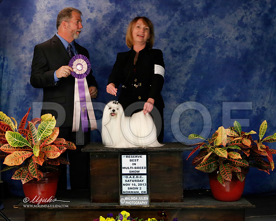 _J2_8985-NormNov2013-HR