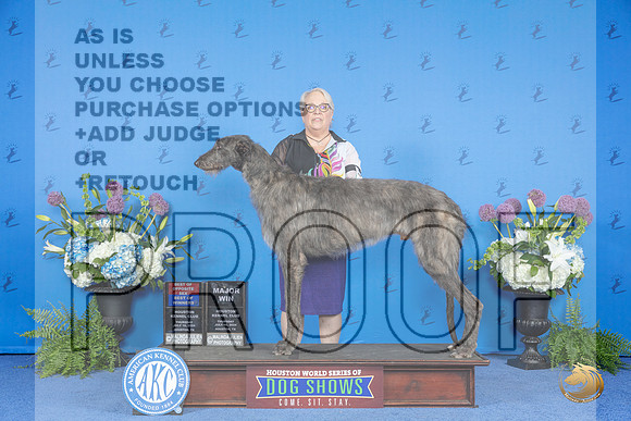 Scottish Deerhound #7 THUR WB BOW BOS M Judge Debbie Freeman__JP_8271_Houston_2024_HR3