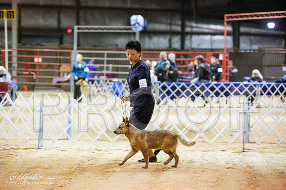 _JN_4399-2-GlenRoseJan2015-HR3