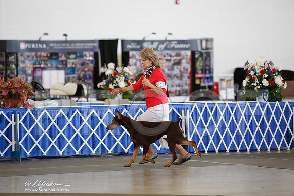 _JJ_3335-DallasJul2014-HR3