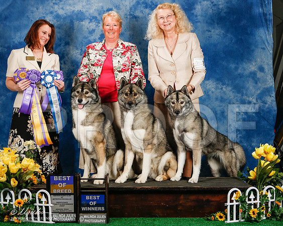 _ST_4147-2-AddisonHuskyMar2015-HR3