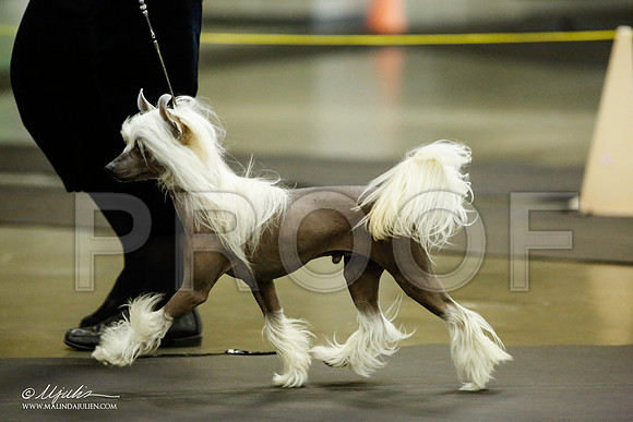 _JJ_5342-BeltonJan2015IABCA-HR3