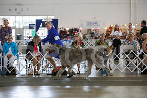 _JJ_2727-DallasJul2014-HR3