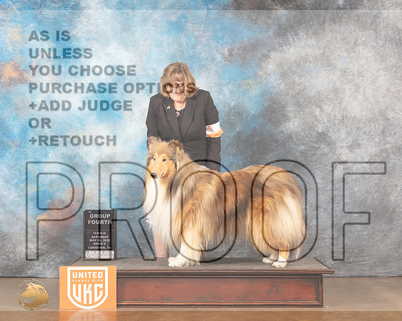 Rough Collie #? Sat2 G4 Judge Kevin Izard-CarrollMMJ_5676_Lngvw2022HR3