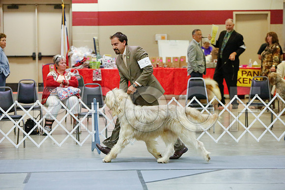 _JJ_4981-AmarilloSept2014-HR3
