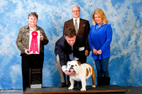 Bulldog #19 Sun G2