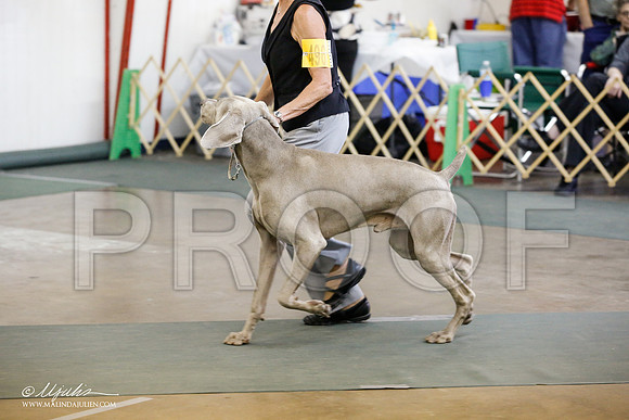 _RH_0566-DenJun14-HR3