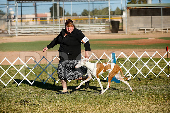 _JJ_2046-AlamogordoOct2014-HR3
