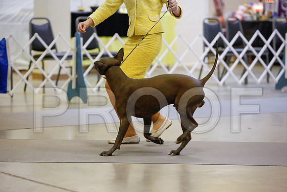 _JN_6186-AmarilloSept2014-HR3