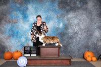 Cardigan Welsh Corgi Sat BOSOHBOB G2 Judge Raymond Filburn