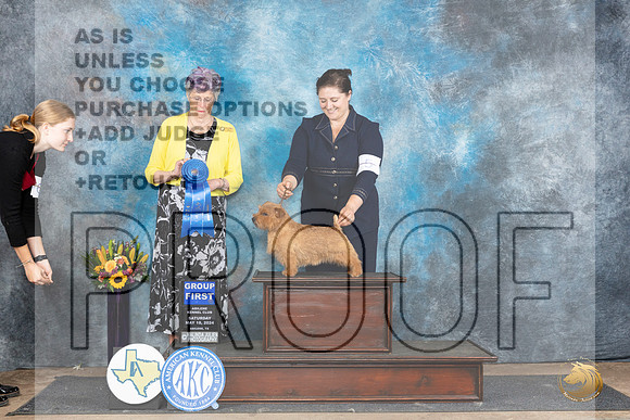 Norfolk Terrier #5 Sat G1 Judge Sharol Candace Way__JP_0101_Abilene_2024_HR3
