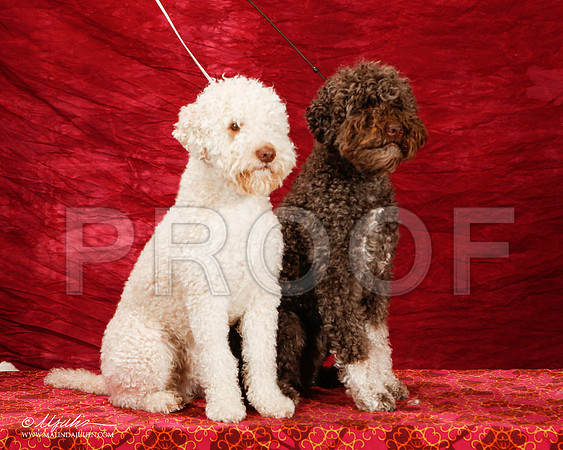 _ST_2249-2-BeltonJan2015-HR3
