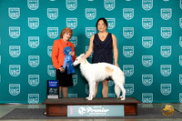 Silken Windhound #453 Sat G1 Judge Sharon Griffin