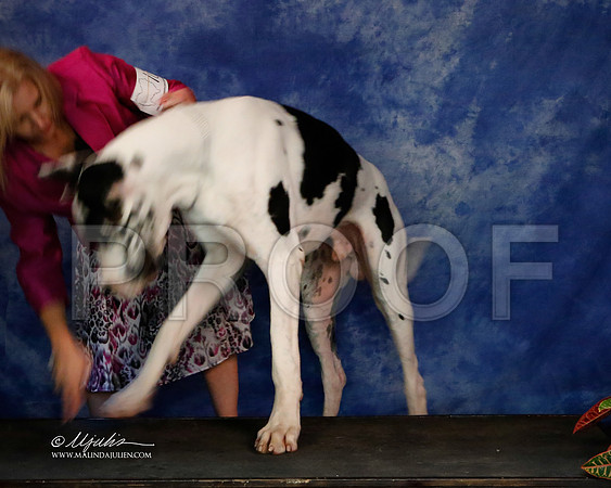 Dane-9022-NormNov2013-HR