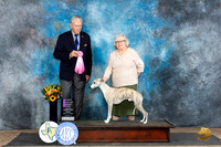 Whippet #15 Fri OHG1 Judge Richard Nance