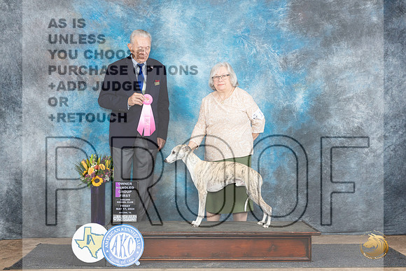 Whippet #15 Fri OHG1 Judge Richard Nance__JP_9562_Abilene_2024_HR3