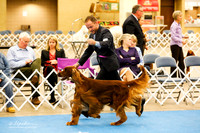 Sporting Group Sat Ring