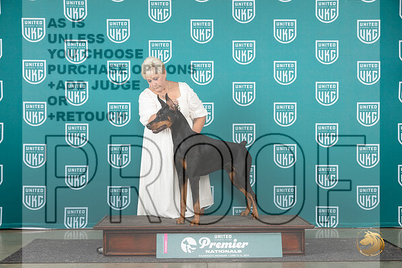 Doberman Pinscher #1263 Sat COC1 Judge Lori Sargent__JP_2114_Premier_2024_HR3