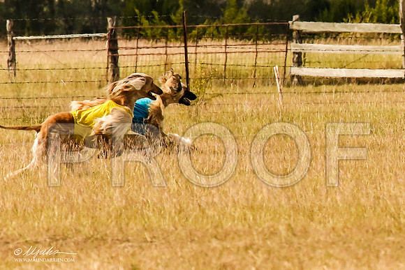 _MJ_5329-AfgBeltonOct2014-HR3