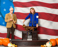 Dachshunds Longharied #8 Sun BOV MAJ Missildine Mandy Lori Darling Judge Mr Robert R Frost