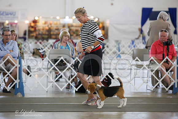 _JJ_2872-DallasJul2014-HR3