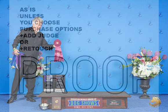 Boxer #37 FRI WD BOW OHBOB NC M Judge Jon Cole__JP_9033_Houston_2024_HR3