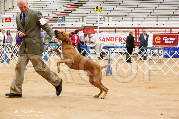 _JN_6406-TxArJun2014-HR3