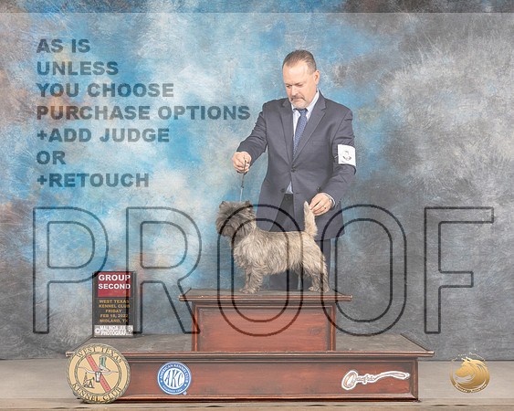 Cairn Terrier #6 Fri G2 Judge Brad JenkinsMMJ_3542_Mdlnd2022_HR3