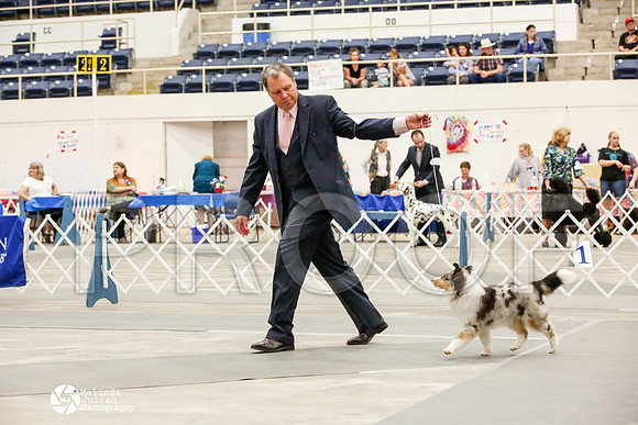 _JJ_1683-AblnMay2014-web