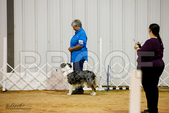 _JJ_0873-ASCACollegeStationNov2014-HR3