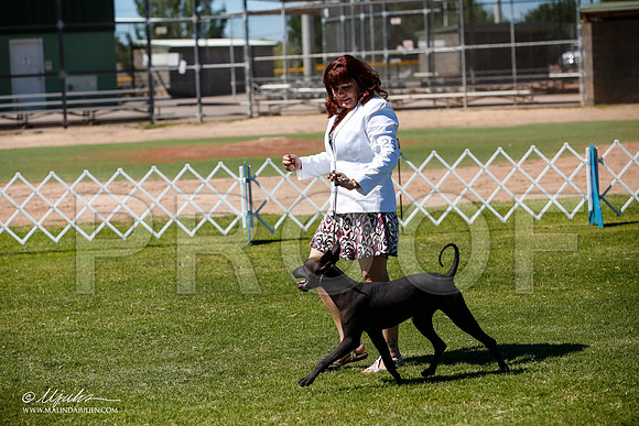 _JJ_8068-AlamogordoOct2014-HR3