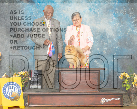 Pomeranian #12 Fri WBBOS Fri Judge Eugene Blake-MMJ_9455-NWARK2022-HR3