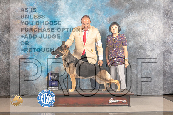 German Shepherd Dog #20 THUR WBBOW Judge Polly Smith_MJ_3515_Houston_2022_HR3