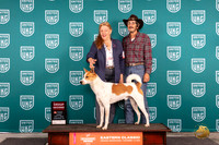 Canaann Dog #115 Fri G2 Judge Kathy Russell