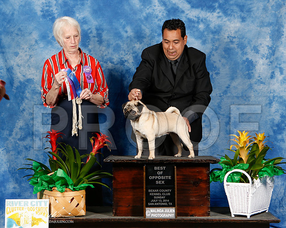 _ST_7710-2-SAJul2014-HR3