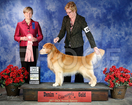 Vet-6353-WFOct2013-HR