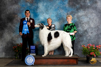 Borzoi #7 Sat G1 Judge Victor Rosado