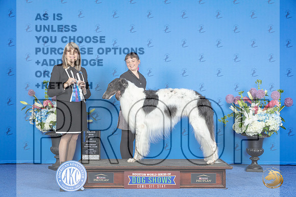 Borzoi #5 SUN BOW M Judge Angela Pickett__JP_0234_Houston_2024_HR3