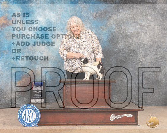 Chihuahua Long Coat #12 Fri WBBOWBOSM Judge Mary Jane Carberry-MMJ_3944-Abilene2022-HR3