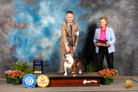 Bulldog #12 Thur G1 Judge Michael Canalizo