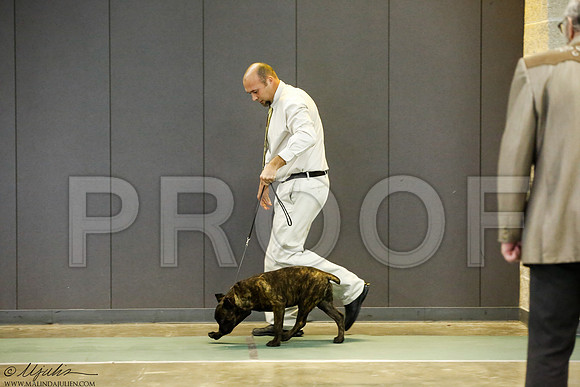 _J3L9038-BeltSep2014-HR