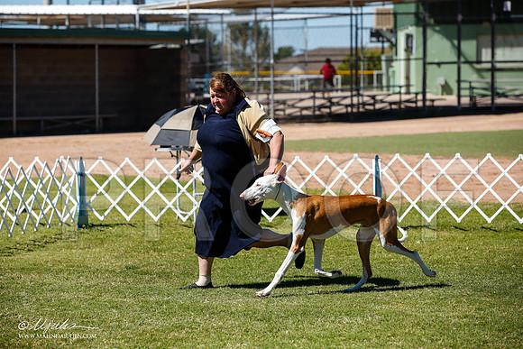 _JJ_7647-AlamogordoOct2014-HR3